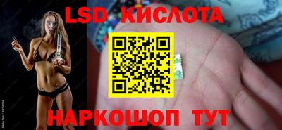 сатива Гатчина