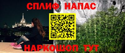 мяу мяу мука Гай