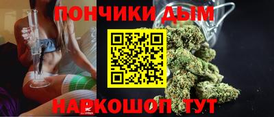 сатива Гатчина