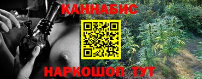 сатива Гатчина