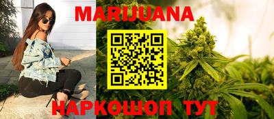 сатива Гатчина