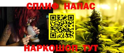 сатива Гатчина