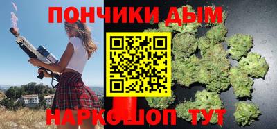 сатива Гатчина