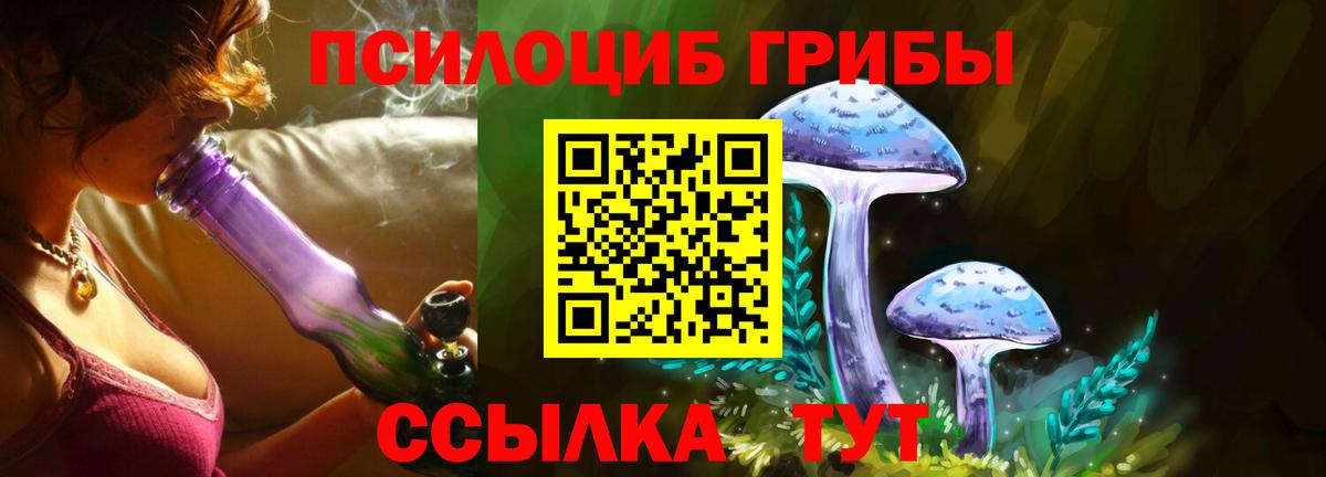 Галлюциногенные грибы мицелий Мичуринск
